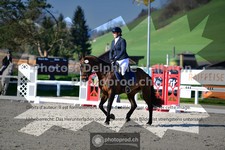 ref. photo 3557165