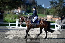 ref. photo 3557166
