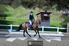 ref. photo 3557167