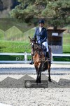 ref. photo 3557172