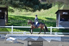 ref. photo 3557176