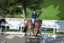 ref. photo 3557181