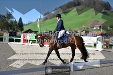 ref. photo 3557182