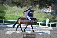 ref. photo 3557183