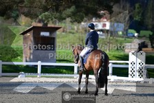 ref. photo 3557190