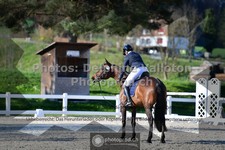 ref. photo 3557194