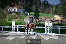 ref. photo 3557195