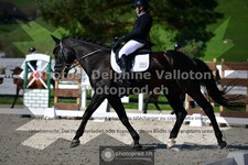 ref. photo 3557199