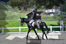 ref. photo 3557206