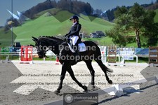 ref. photo 3557260