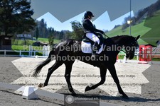 ref. photo 3557262