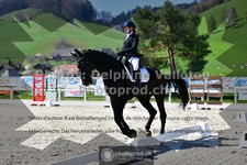 ref. photo 3557281