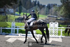 ref. photo 3557288