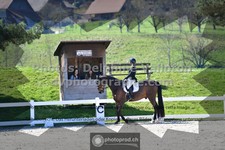 ref. photo 3557294