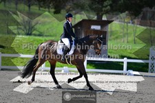 ref. photo 3557305