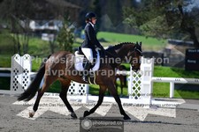 ref. photo 3557306