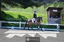 ref. photo 3557322