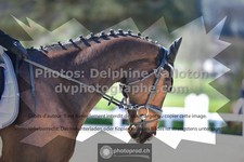 ref. photo 3557325