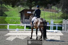 ref. photo 3557340