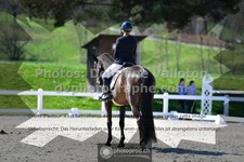 ref. photo 3557341