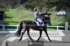 ref. photo 3557356