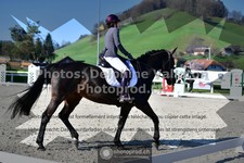 ref. photo 3557360
