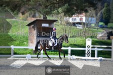 ref. photo 3557365