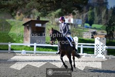 ref. photo 3557374