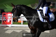 ref. photo 3557385