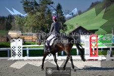 ref. photo 3557391