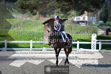 ref. photo 3557396
