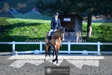ref. photo 3557407