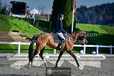 ref. photo 3557411