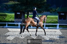 ref. photo 3557412