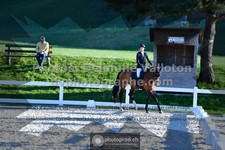 ref. photo 3557413