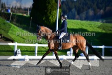 ref. photo 3557417
