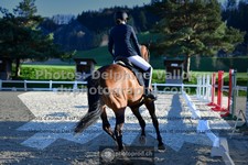 ref. photo 3557419