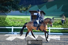 ref. photo 3557421