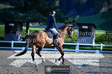 ref. photo 3557422
