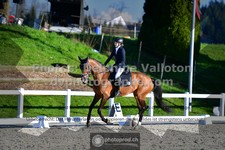 ref. photo 3557431
