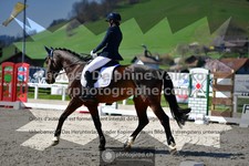 ref. photo 3557442
