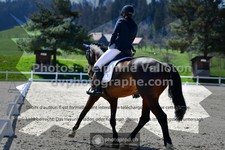 ref. photo 3557456