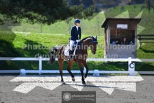 ref. photo 3557470