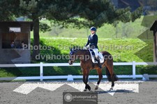 ref. photo 3557481