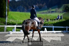 ref. photo 3557492