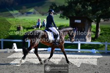 ref. photo 3557501