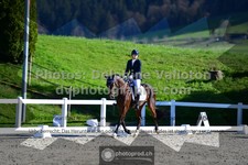 ref. photo 3557504