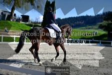 ref. photo 3557515