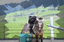 ref. photo 3557534