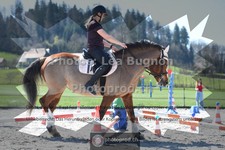 ref. photo 3557536